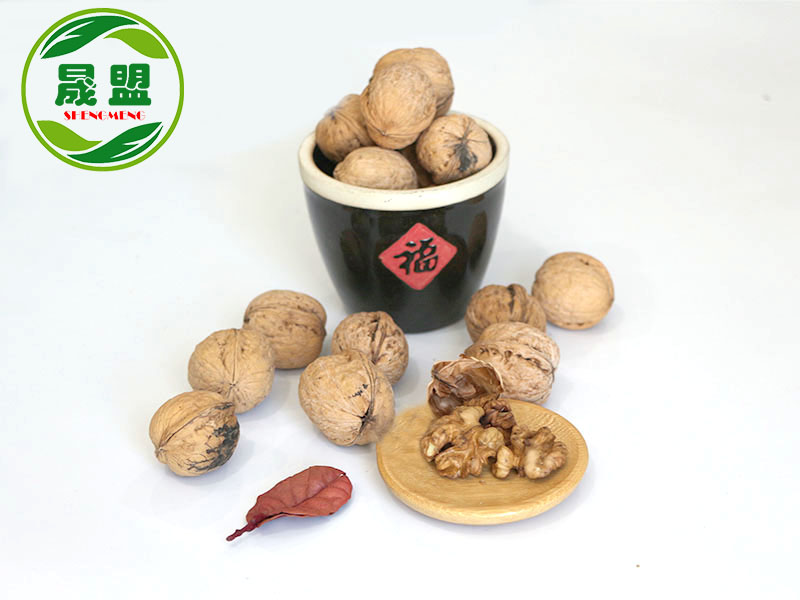 LiaoXi Walnut Inshell