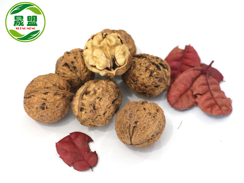 YunNan Walnut Inshell