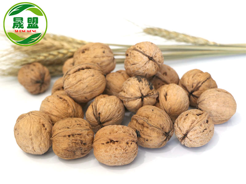 LiaoXi Walnut Inshell