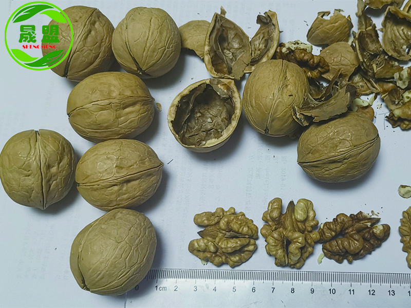 33 Walnut Inshell