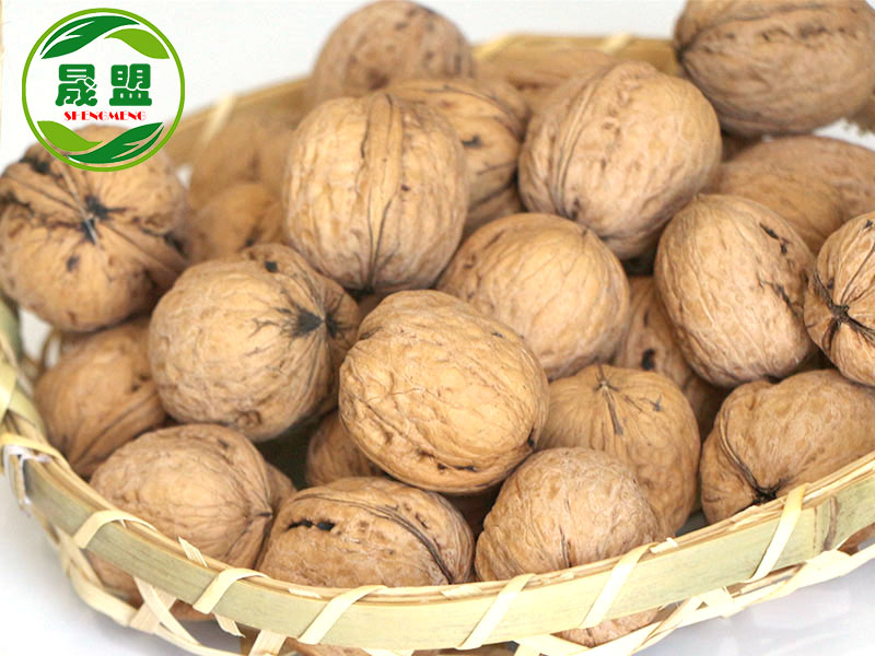 LiaoXi Walnut Inshell