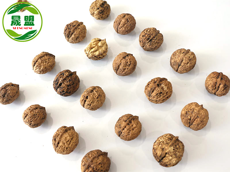 YunNan Walnut Inshell