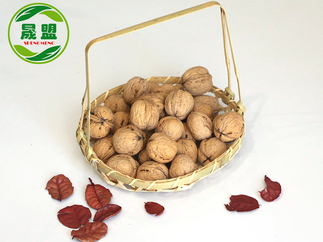 LiaoXi Walnut Inshell